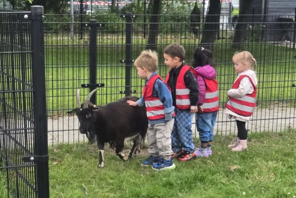 Foto kinderboerderij1