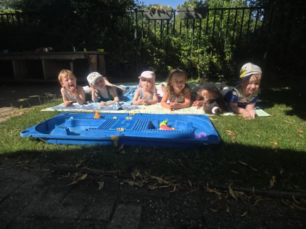 Foto zomer